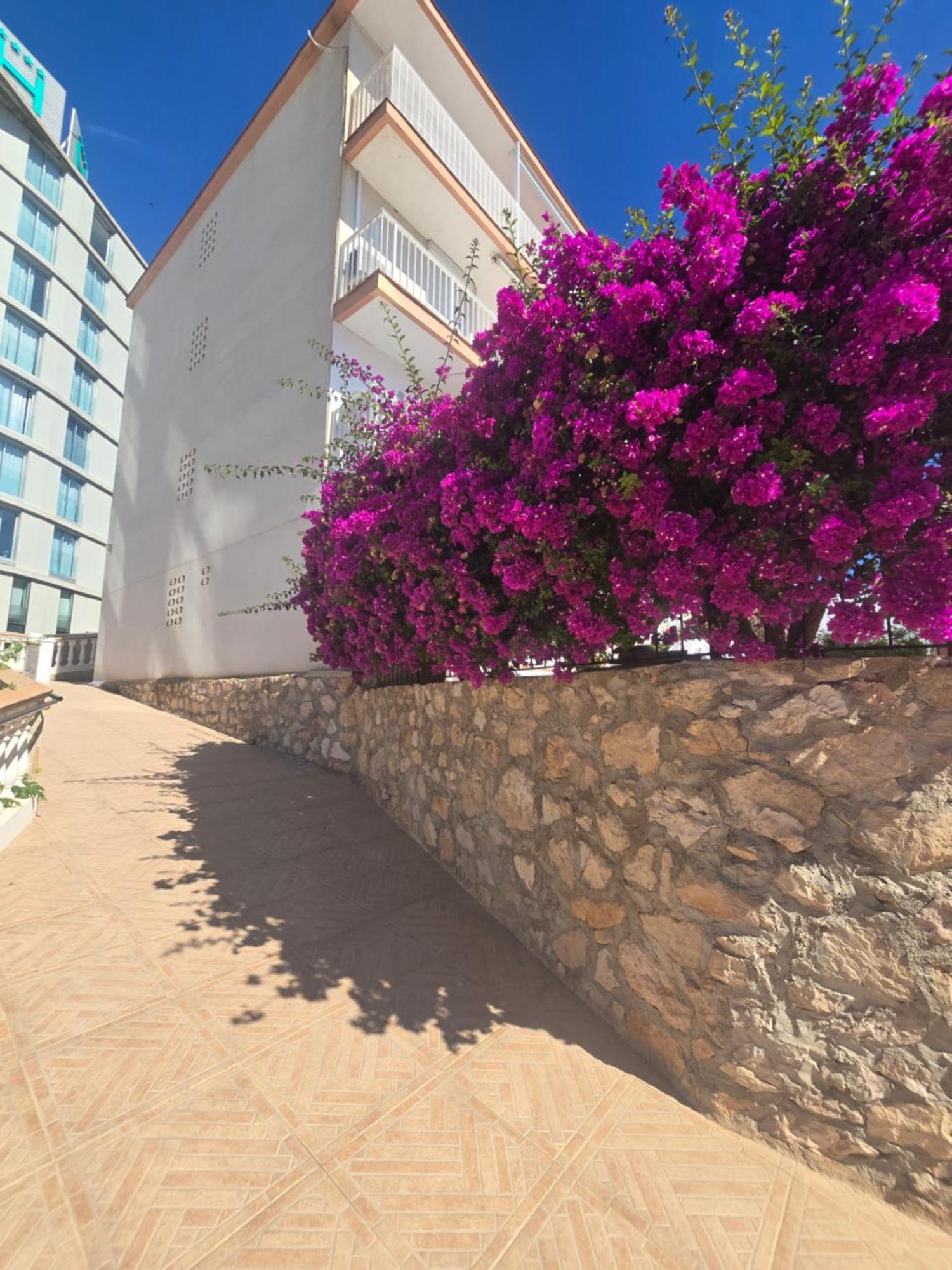 La Cantera Appartement Playa Peniscola Ngoại thất bức ảnh